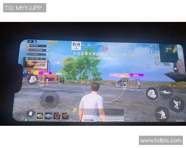 深入探讨和平精英成功背后的秘密与杨强的独特见解