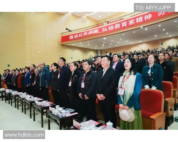 杭州排球队灵活性分析与战术创新的深度探讨