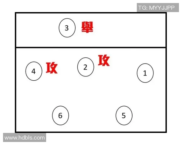 杭州排球队整体压制战术解析与实战应用探讨